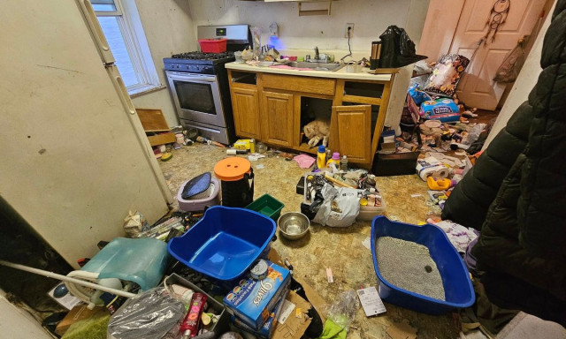 Ingyen takar&iacute;t&aacute;st v&aacute;llal egy magyar h&ouml;lgy a megy&eacute;ben, hogy &iacute;gy kezdhessenek &uacute;j &eacute;letet a lak&oacute;i