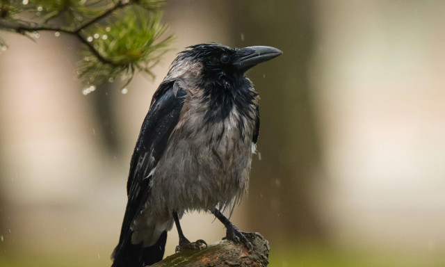 Kicsi lehűl&eacute;s j&ouml;n, z&aacute;porra is sz&aacute;m&iacute;thatunk