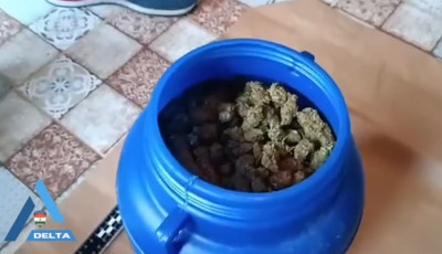 Gomb&aacute;z&aacute;s k&ouml;zben tal&aacute;ltak r&aacute; a hord&oacute;s k&aacute;b&iacute;t&oacute;szerre, lecsaptak a tulajdonosra - VIDE&Oacute;