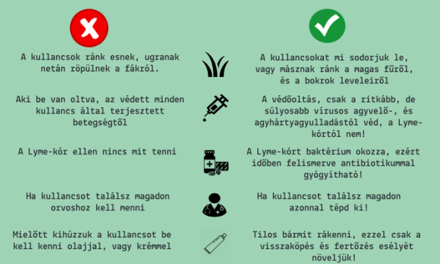 &Eacute;rdemes jobban odafigyelni - Sokkal t&ouml;bb kullancs lesz id&eacute;n