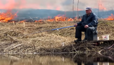 M&eacute;g az &eacute;gő n&aacute;das sem z&ouml;kkentheti ki nyugalm&aacute;b&oacute;l ezt a pec&aacute;st - VIDE&Oacute;