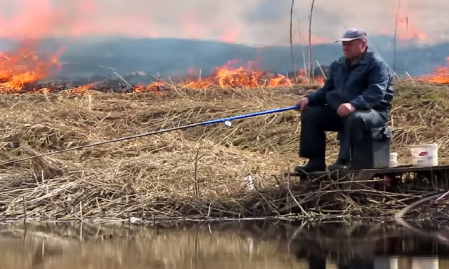 M&eacute;g az &eacute;gő n&aacute;das sem z&ouml;kkentheti ki nyugalm&aacute;b&oacute;l ezt a pec&aacute;st - VIDE&Oacute;