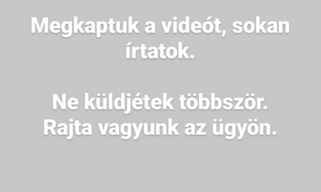 Elfogytak a jelzőink - Egy mad&aacute;rral fajtalankodhatott az egyik n&eacute;pszerű magyar TikTok szt&aacute;r