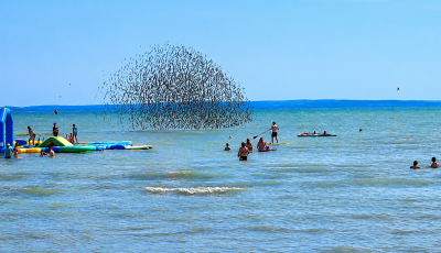 Mad&aacute;rkoreogr&aacute;fia a Balatonfűzfőn: vide&oacute;n a sereg&eacute;lyt&aacute;nc l&aacute;tv&aacute;nyos pillanatai