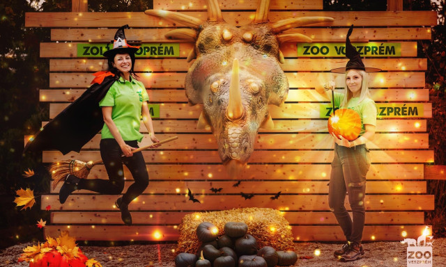 Kedvezm&eacute;nyes jegy&aacute;rakkal v&aacute;r a Veszpr&eacute;mi &Aacute;llatkert kedden &eacute;s szerd&aacute;n