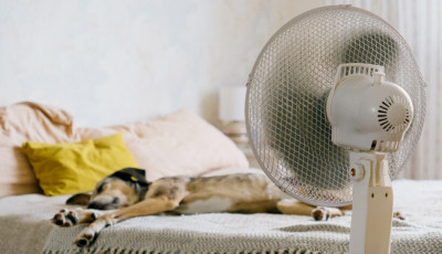 J&oacute;l esett a hűv&ouml;s hajnal? Ennyi volt, m&aacute;ris visszat&eacute;r a k&aacute;nikula