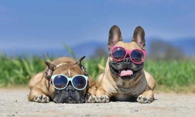 Hi&aacute;ba a h&eacute;tv&eacute;gi hidegfront, nem lesz jelentős lehűl&eacute;s