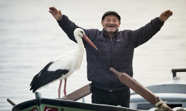 13. &eacute;ve rep&uuml;l vissza bar&aacute;tja haj&oacute;j&aacute;ra Yaren, a g&oacute;lya