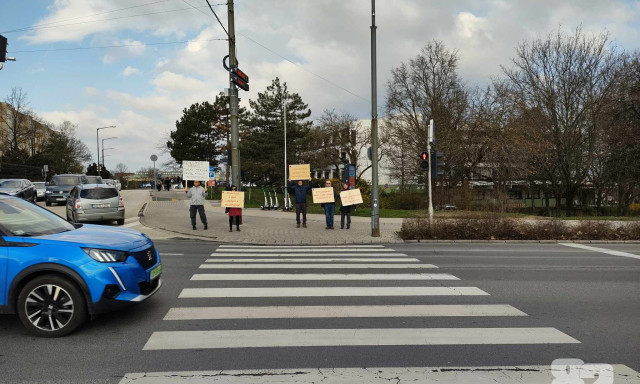 Ism&eacute;t a p&aacute;lyaudvarn&aacute;l vonultak fel a zebraszerd&aacute;z&oacute; civilek - GAL&Eacute;RIA