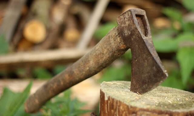 "Csib&eacute;szelni tan&iacute;totta, hogy kem&eacute;ny kutya legyen" - balt&aacute;val kergette &eacute;s &uuml;t&ouml;tte kuty&aacute;j&aacute;t az &aacute;llatk&iacute;nz&oacute;