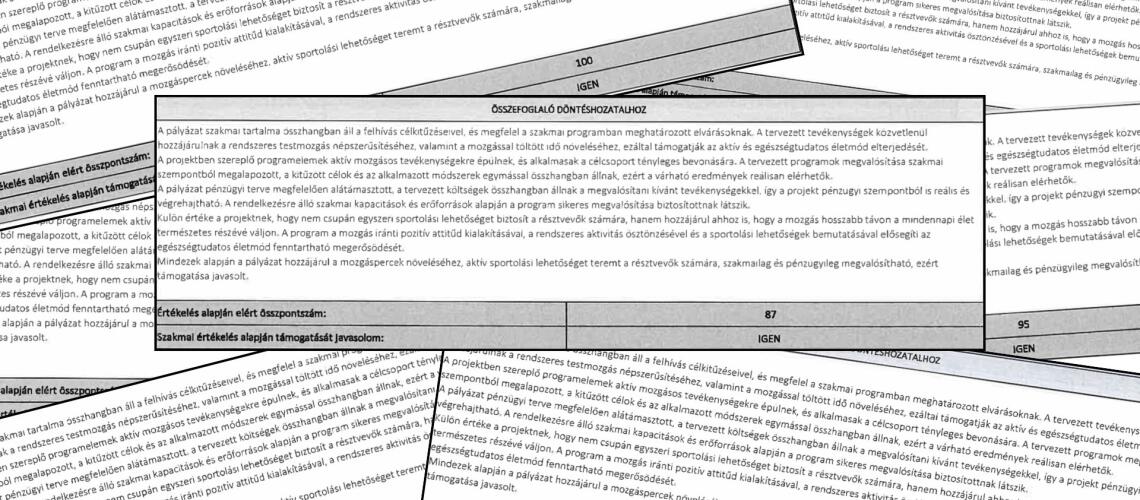 A megk&uuml;ld&ouml;tt sportr&eacute;gi&oacute;s p&aacute;ly&aacute;zati b&iacute;r&aacute;latok k&ouml;zel k&eacute;tharmad&aacute;ban sz&oacute; szerint ugyanaz a d&ouml;nt&eacute;shozatali indokl&aacute;s szerepel