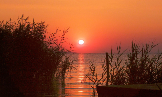 Felf&uuml;ggesztett b&ouml;rt&ouml;nt kaptak a balatonakali n&aacute;dasirt&oacute;k, fellebbeztek a v&aacute;dlottak