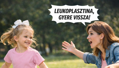 &Uacute;jra szavazott az Ut&oacute;n&eacute;v Bizotts&aacute;g: a Vinka j&ouml;het, Leukoplastina-nak viszont nem keresztelhetj&uuml;k az &uacute;jsz&uuml;l&ouml;tteket