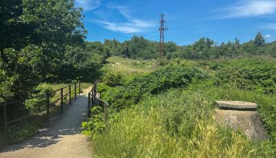 aPont Veszpr&eacute;m: &ldquo;V&aacute;laszokat v&aacute;runk a polg&aacute;rmestertől!&rdquo;
