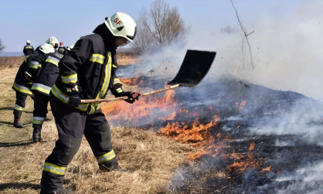 Egy hekt&aacute;ron &eacute;gett a sz&aacute;raz fű Veszpr&eacute;m hat&aacute;r&aacute;ban