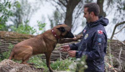 Elpusztult Symba, a hős magyar mentőkutya - Nev&eacute;t a vil&aacute;g legjobbjai k&ouml;z&ouml;tt jegyezt&eacute;k