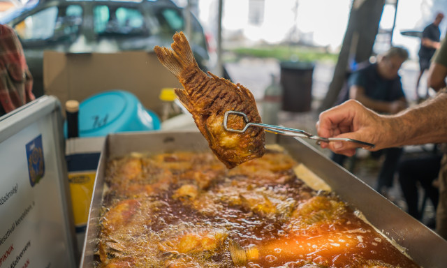 Kezdődik a si&oacute;foki Halfesztiv&aacute;l