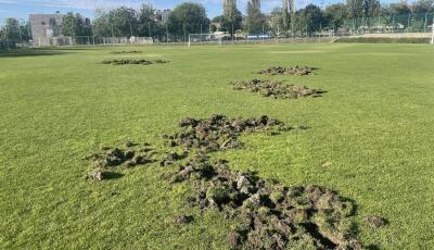 Vaddiszn&oacute;k t&uacute;rt&aacute;k fel a Balatonalm&aacute;di Sportk&ouml;zpont focip&aacute;ly&aacute;j&aacute;t