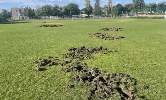 Vaddiszn&oacute;k t&uacute;rt&aacute;k fel a Balatonalm&aacute;di Sportk&ouml;zpont focip&aacute;ly&aacute;j&aacute;t
