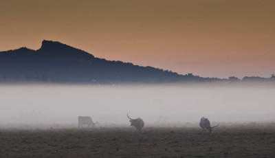 Nyerem&eacute;nyj&aacute;t&eacute;kot hirdetett a Balaton-felvid&eacute;ki Nemzeti Park