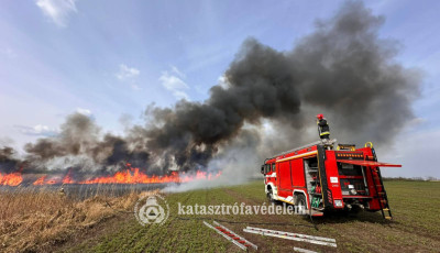 M&aacute;sf&eacute;l hekt&aacute;ron &eacute;gett a sz&aacute;raz fű a vas&uacute;ti t&ouml;lt&eacute;s mellett V&aacute;rpalot&aacute;n
