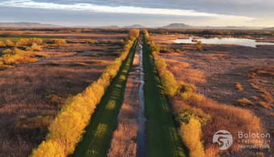Lenyűg&ouml;ző dr&oacute;nfelv&eacute;telek a Balaton-felvid&eacute;ki Nemzeti Park &uacute;j ter&uuml;leteiről: vadmacska, aranysak&aacute;l &eacute;s r&eacute;tisas is feltűnik a vide&oacute;n