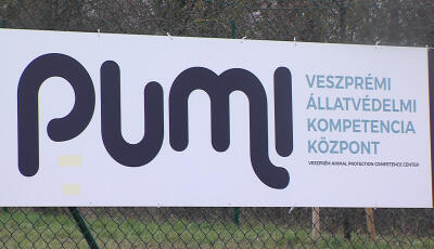 Nem el&eacute;rhető a PUMI honlapja, a Facebook-oldalukat is t&ouml;rt&ouml;lhett&eacute;k