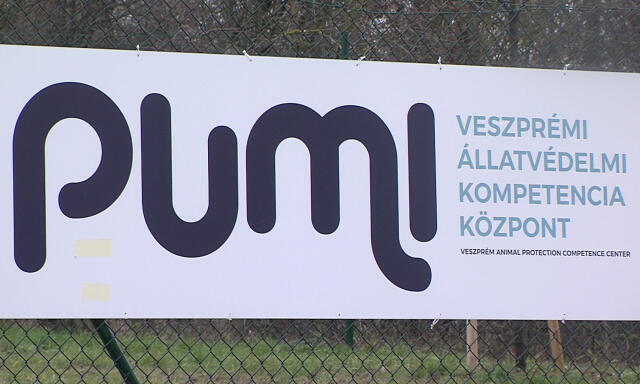 Nem el&eacute;rhető a PUMI honlapja, a Facebook-oldalukat is t&ouml;rt&ouml;lhett&eacute;k