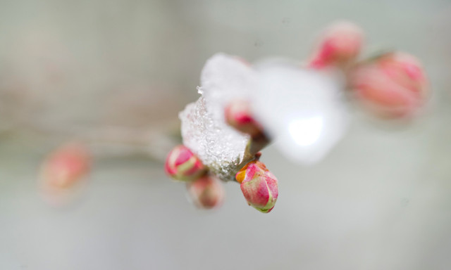 Megint j&ouml;het n&eacute;mi fagy a k&ouml;vetkező reggeleken