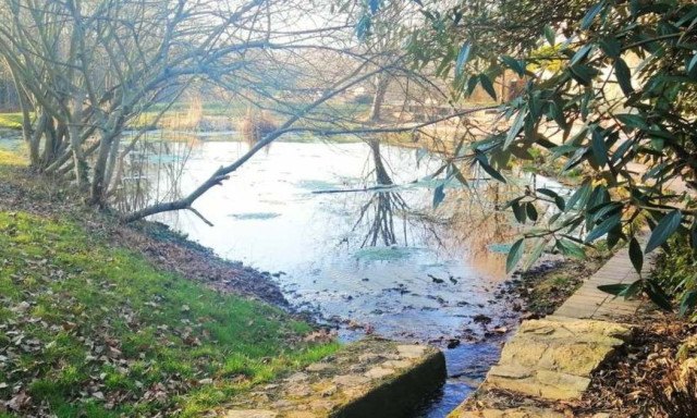 A veszpr&eacute;mi Felt&ouml;ltő Pont szem&eacute;tszed&eacute;st szervez a V&ouml;lgyik&uacute;tn&aacute;l tal&aacute;lhat&oacute; t&oacute;n&aacute;l