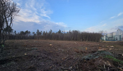 V&eacute;derdőt v&aacute;gnak ki a veszpr&eacute;mi J&eacute;gcsarnokn&aacute;l - T&ouml;bb mint 120 csal&aacute;d agg&oacute;dik a z&ouml;ld s&aacute;v miatt