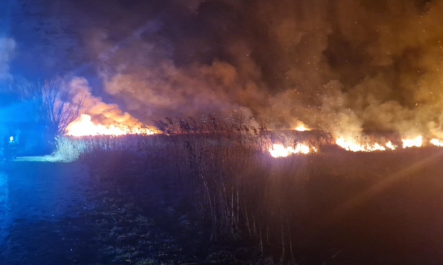 Akkora n&aacute;dastűz volt vas&aacute;rnap &eacute;jjel Fony&oacute;dn&aacute;l, hogy m&eacute;g az &eacute;szaki partr&oacute;l is l&aacute;tni lehetett