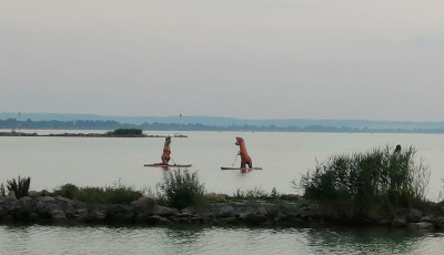 &Uacute;j &uacute;tvonalon rendezik meg a Balaton &aacute;tevez&eacute;st