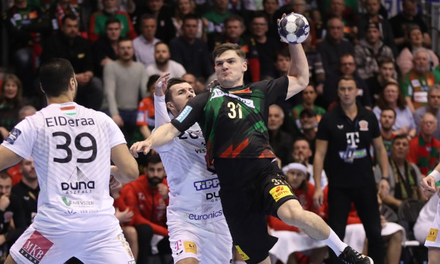 F&aacute;j&oacute; veszpr&eacute;mi veres&eacute;g Magdeburgban