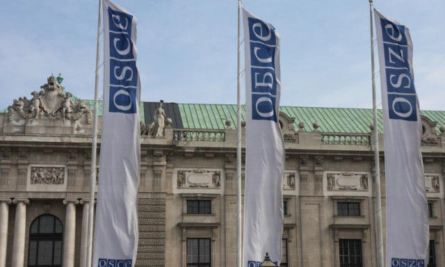 Teljes k&ouml;rű EBESZ misszi&oacute;&eacute;rt kamp&aacute;nyolnak a j&ouml;vő &eacute;vi v&aacute;laszt&aacute;sokra