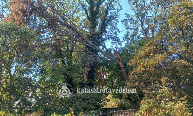 Lehasadt fa&aacute;gak vesz&eacute;lyeztett&eacute;k a j&aacute;r&oacute;kelőket P&aacute;p&aacute;n &eacute;s Balatonf&uuml;reden