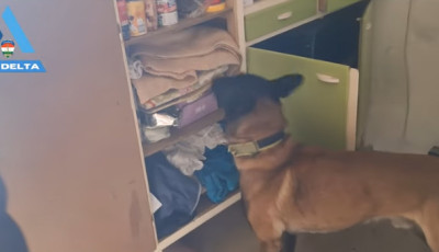 Pozit&iacute;v lett a drogteszt: a munkahely&eacute;n kaptak el egy 41 &eacute;ves f&eacute;rfit Balatonalm&aacute;diban - VIDE&Oacute;