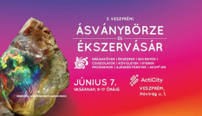 &Aacute;sv&aacute;nyb&ouml;rze &eacute;s &Eacute;kszerv&aacute;s&aacute;r az  ActiCity-ben