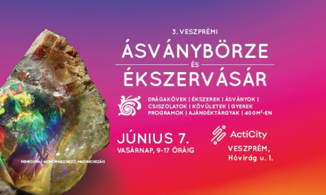 &Aacute;sv&aacute;nyb&ouml;rze &eacute;s &Eacute;kszerv&aacute;s&aacute;r az  ActiCity-ben