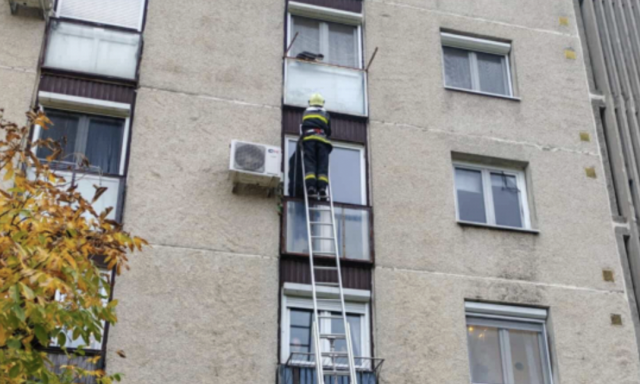 A 4. emeletről kiesett macsk&aacute;t mentettek a p&eacute;tf&uuml;rdői tűzolt&oacute;k