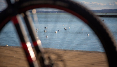 Ker&eacute;kp&aacute;rosbar&aacute;t sz&aacute;ll&aacute;sl&aacute;nc indult a Balatonn&aacute;l