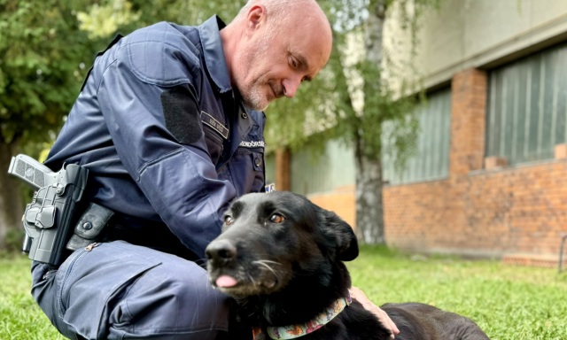 Nyugd&iacute;jba vonul Pocak, a robban&oacute;anyag-kereső kutya