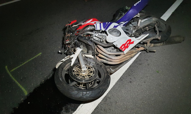 Meghalt egy motoros a 8-as fő&uacute;ton, miut&aacute;n egy szarvassal &uuml;tk&ouml;z&ouml;tt