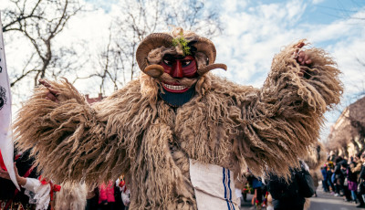 Amikor a t&eacute;l megijed &eacute;s elszalad, avagy a moh&aacute;csi bus&oacute;j&aacute;r&aacute;s &uuml;zenete