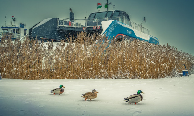Szombatt&oacute;l j&ouml;n az &uuml;nnepi kompmenetrend