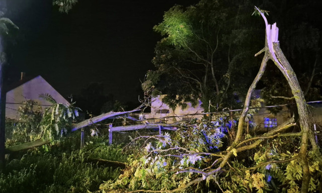 P&aacute;p&aacute;n a kidőlt f&aacute;k &eacute;s a let&ouml;rt &aacute;gak adtak munk&aacute;t a tűzolt&oacute;knak