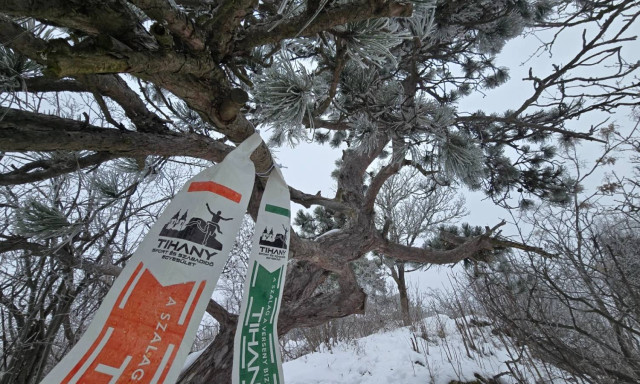 Trag&eacute;dia a Tihany Trail 2026-on: &eacute;let&eacute;t vesztette egy 47 &eacute;ves fut&oacute;