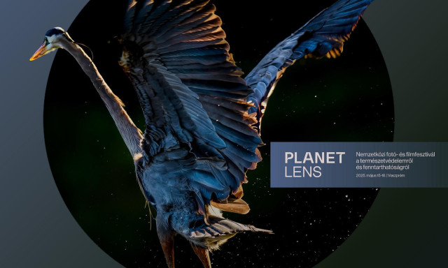 Veszpr&eacute;mben rendezik meg a Planet Lens Nemzetk&ouml;zi Term&eacute;szetfot&oacute;- &eacute;s Filmfesztiv&aacute;lt m&aacute;jusban