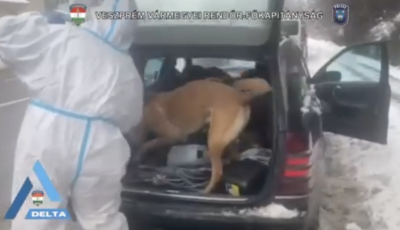 K&ouml;z&uacute;ti ellenőrz&eacute;snek indult - Speeddel bukott le h&aacute;rom f&eacute;rfi Balatonf&uuml;reden