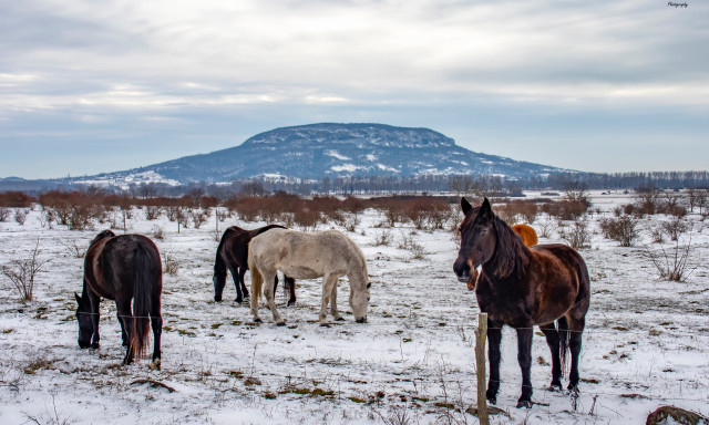 L&eacute;legzetel&aacute;ll&iacute;t&oacute; felv&eacute;telek a h&oacute;ba borult Balaton-felvid&eacute;kről
